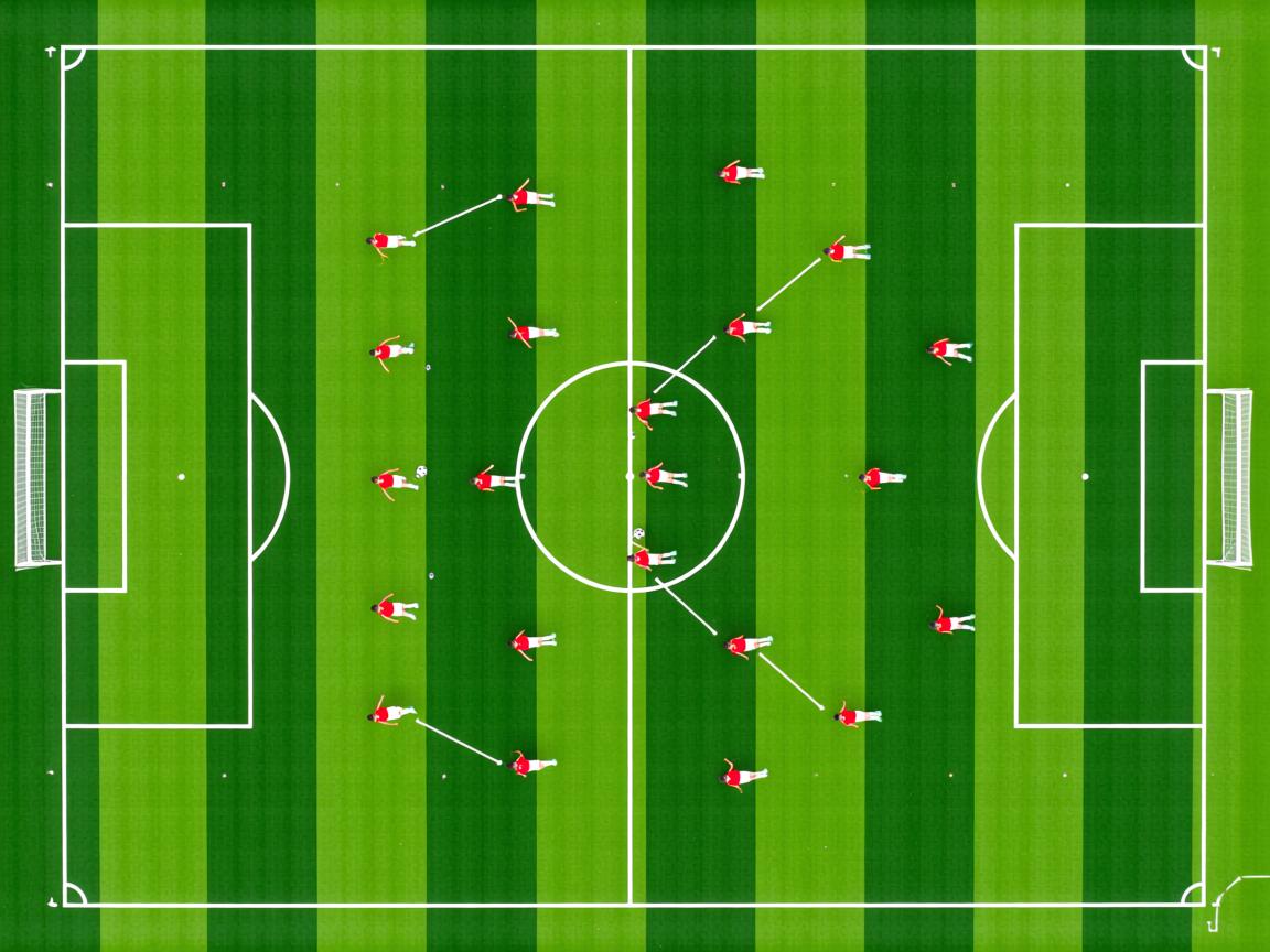开云体育网址-体育新闻中心发布新兴体育项目传播策略白皮书，体育传播活动中新媒体使用情况调查报告